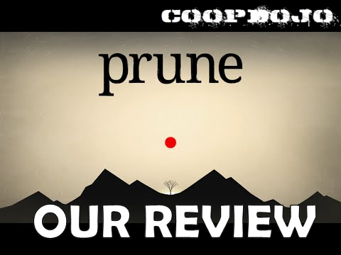 Our Review Of Prune